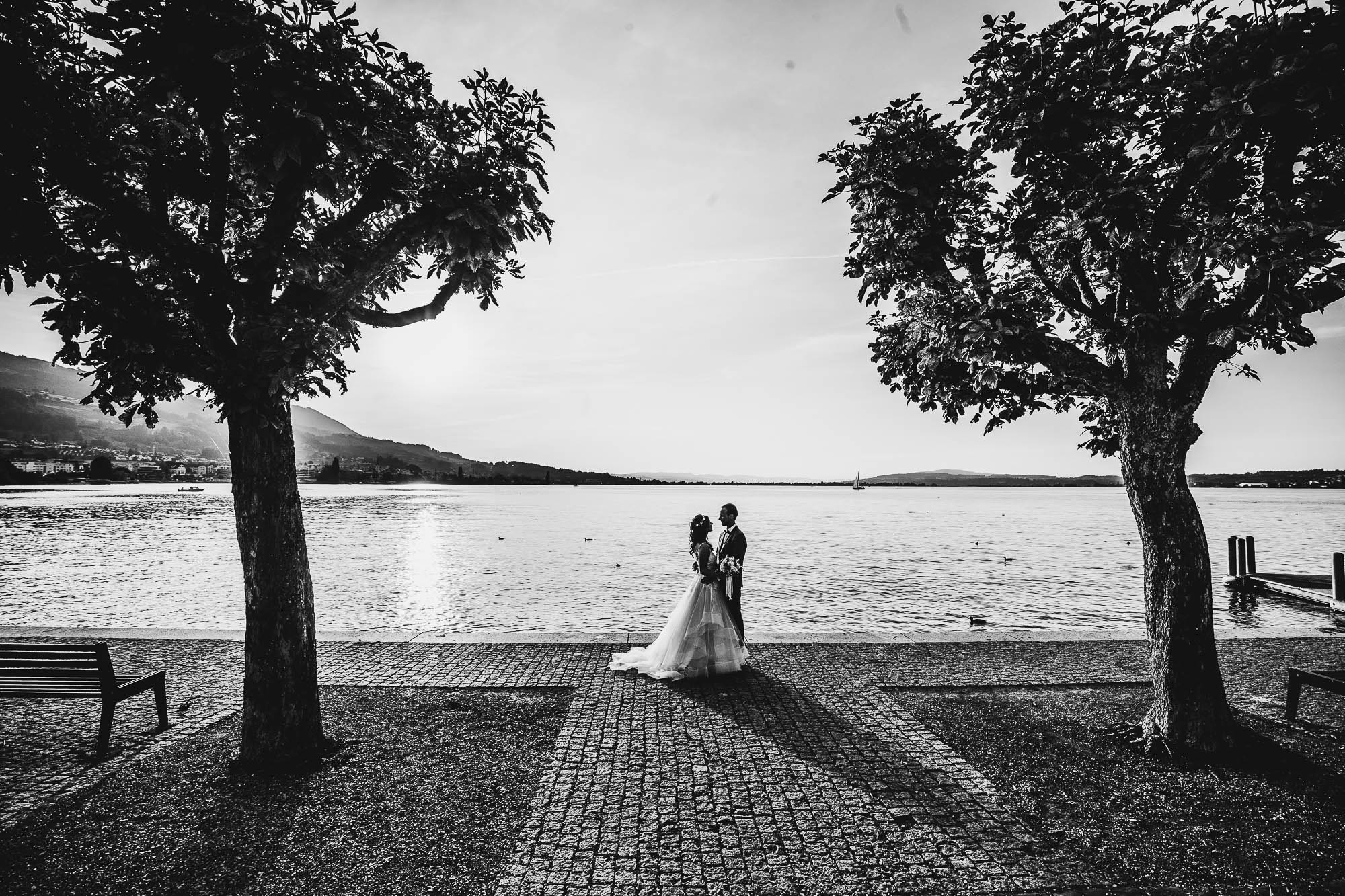 Export x3 1DX24342 Hochzeit 2020 Muriel & Trevor 2